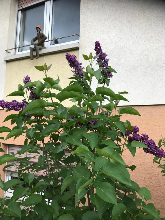 Appart Les Cerises Entre Strasbourg Et Haguenau Бишвиллер Экстерьер фото